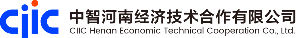 中智河南全稱(chēng)電子版